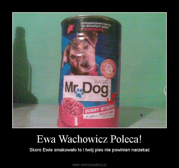 Ewa Wachowicz Poleca! – Skoro Ewie smakowało to i twój pies nie powinien narzekać 