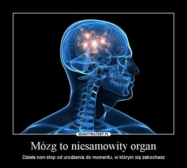 Mózg to niesamowity organ