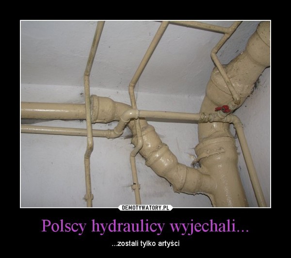 Polscy hydraulicy wyjechali... – ...zostali tylko artyści 