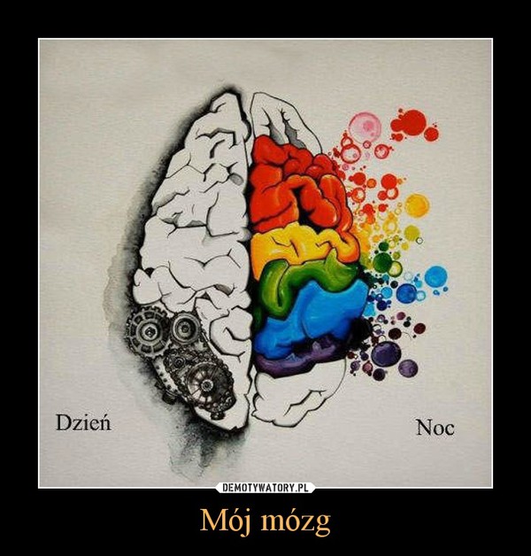 Mój mózg