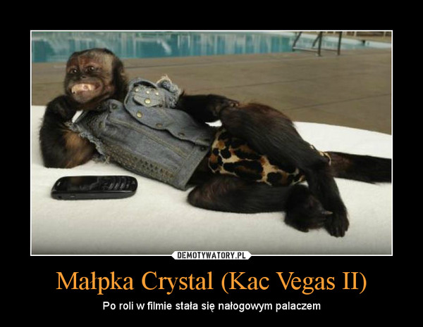 Małpka Crystal (Kac Vegas II)