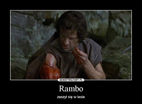Rambo – zaszył się w lesie 