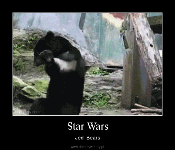 Star Wars – Jedi Bears 