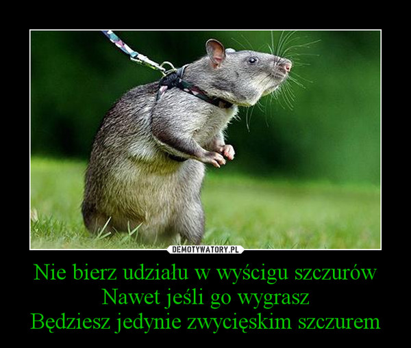 Nie bierz udziału w wyścigu szczurówNawet jeśli go wygraszBędziesz jedynie zwycięskim szczurem –  
