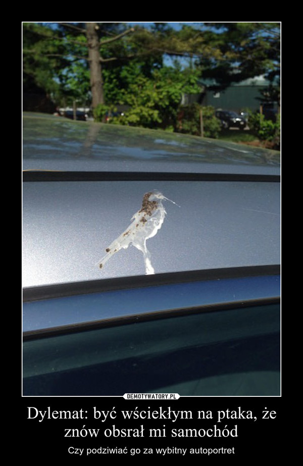 Dylemat: być wściekłym na ptaka, że znów obsrał mi samochód – Czy podziwiać go za wybitny autoportret 