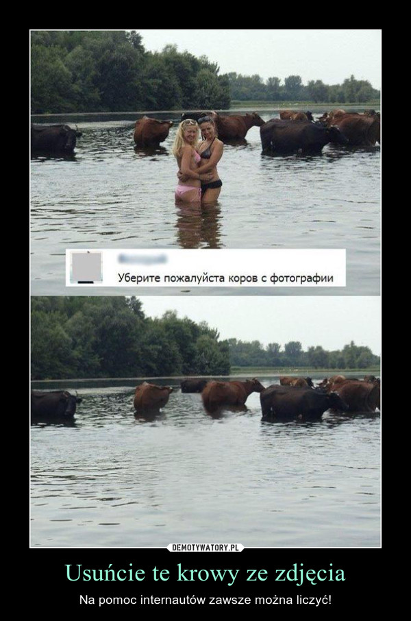 Usuńcie te krowy ze zdjęcia – Na pomoc internautów zawsze można liczyć! 