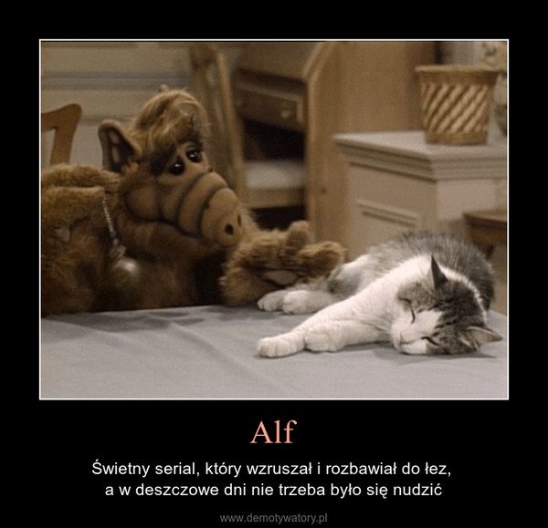 Alf – Świetny serial, który wzruszał i rozbawiał do łez, a w deszczowe dni nie trzeba było się nudzić 
