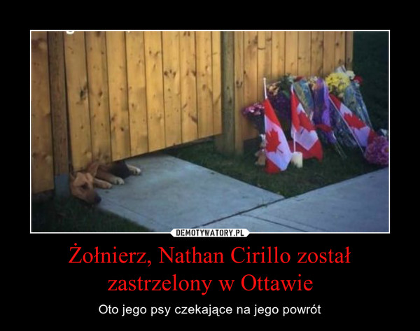 Żołnierz, Nathan Cirillo został zastrzelony w Ottawie