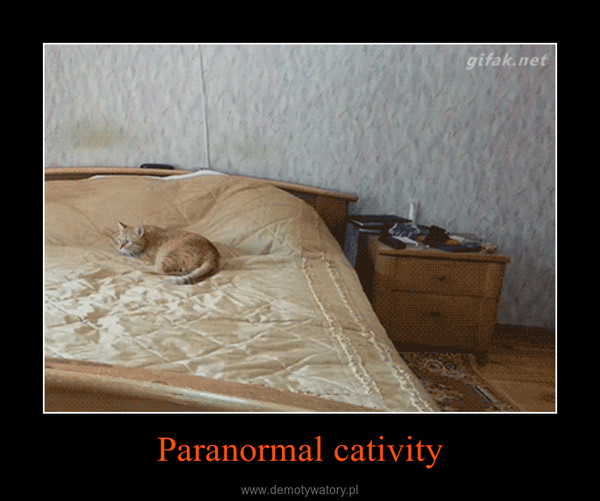Paranormal cativity –  