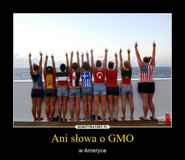 Ani słowa o GMO