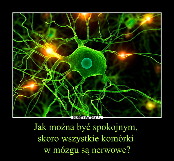 Jak można być spokojnym, skoro wszystkie komórki w mózgu są nerwowe? –  