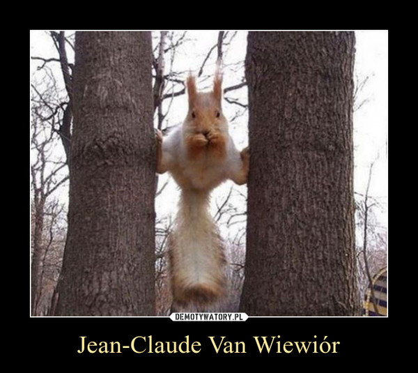 Jean-Claude Van Wiewiór –  