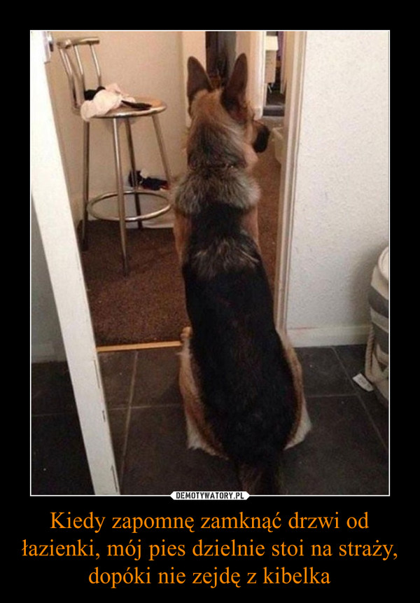 Kiedy zapomnę zamknąć drzwi od łazienki, mój pies dzielnie stoi na straży, dopóki nie zejdę z kibelka –  