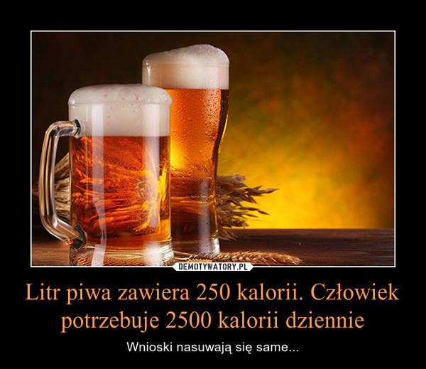 Litr piwa zawiera 250 kalorii. Człowiek potrzebuje 2500 kalorii dziennie – Wnioski nasuwają się same... 