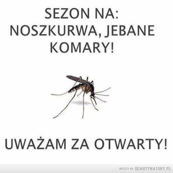 Komary...