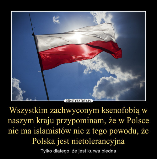 Wszystkim zachwyconym ksenofobią w naszym kraju przypominam, że w Polsce nie ma islamistów nie z tego powodu, że Polska jest nietolerancyjna
