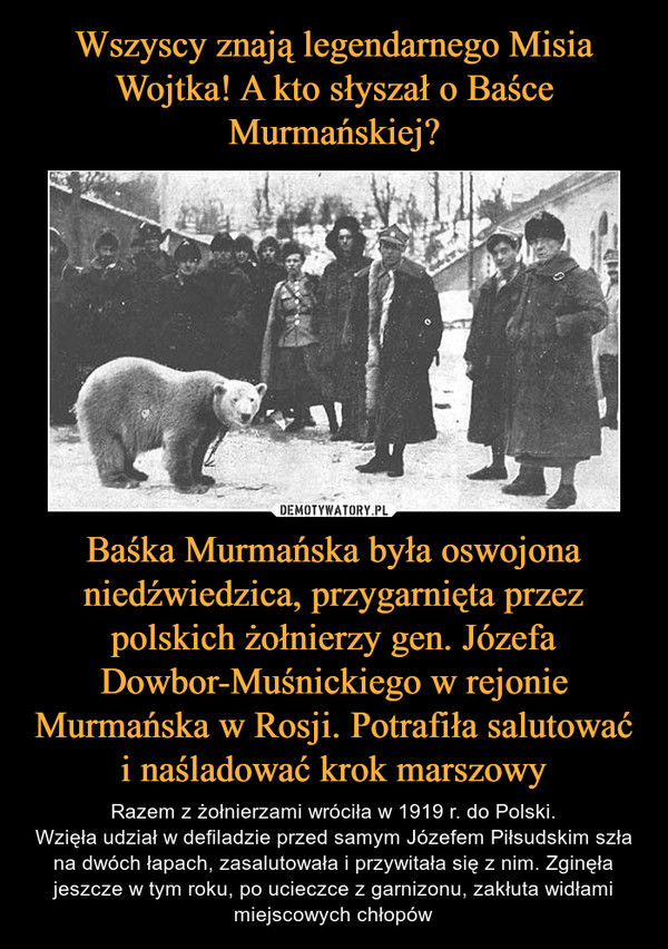 Baśka Murmańska była oswojona niedźwiedzica, przygarnięta przez polskich żołnierzy gen. Józefa Dowbor-Muśnickiego w rejonie Murmańska w Rosji. Potrafiła salutować i naśladować krok marszowy – Razem z żołnierzami wróciła w 1919 r. do Polski.Wzięła udział w defiladzie przed samym Józefem Piłsudskim szła na dwóch łapach, zasalutowała i przywitała się z nim. Zginęła jeszcze w tym roku, po ucieczce z garnizonu, zakłuta widłami miejscowych chłopów 
