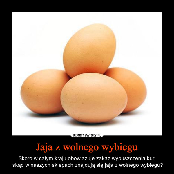 Jaja z wolnego wybiegu – Skoro w całym kraju obowiązuje zakaz wypuszczenia kur, skąd w naszych sklepach znajdują się jaja z wolnego wybiegu? 
