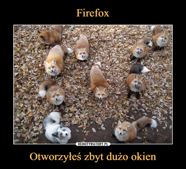 Firefox Otworzyłeś zbyt dużo okien