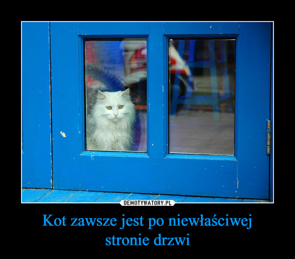 Kot zawsze jest po niewłaściwejstronie drzwi –  