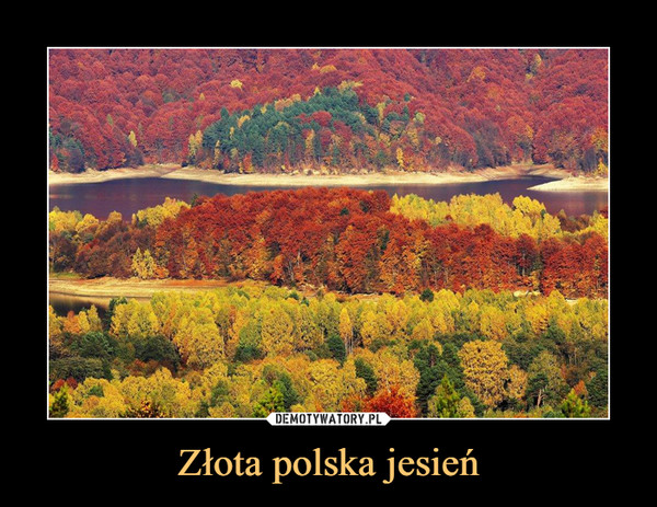 Złota polska jesień –  