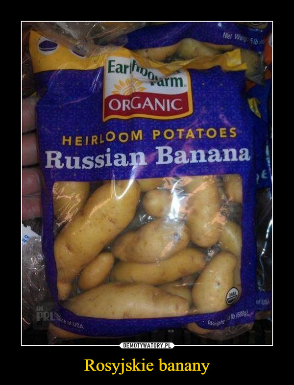 Rosyjskie banany –  