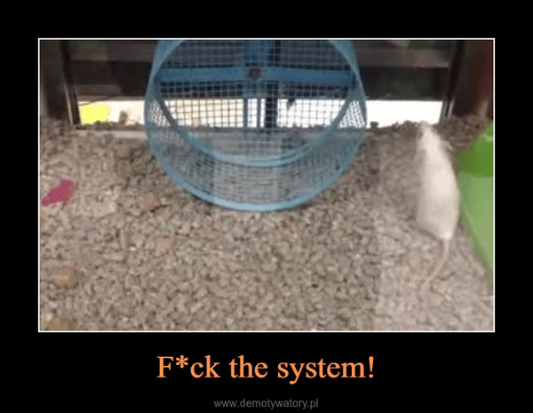 F*ck the system! –  