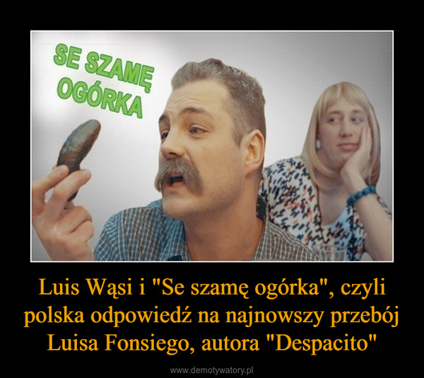 Luis Wąsi i "Se szamę ogórka", czyli polska odpowiedź na najnowszy przebój Luisa Fonsiego, autora "Despacito" –  
