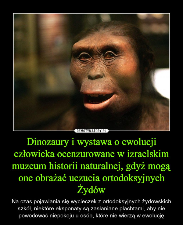 Dinozaury i wystawa o ewolucji człowieka ocenzurowane w izraelskim muzeum historii naturalnej, gdyż mogą one obrażać uczucia ortodoksyjnych Żydów