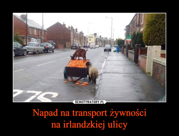 Napad na transport żywnościna irlandzkiej ulicy –  