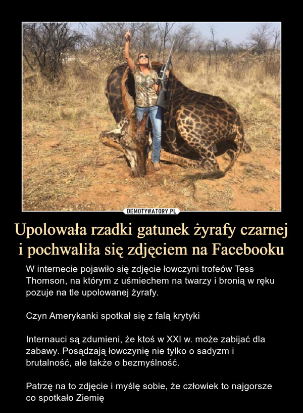 Upolowała rzadki gatunek żyrafy czarnej i pochwaliła się zdjęciem na Facebooku – W internecie pojawiło się zdjęcie łowczyni trofeów Tess Thomson, na którym z uśmiechem na twarzy i bronią w ręku pozuje na tle upolowanej żyrafy. Czyn Amerykanki spotkał się z falą krytykiInternauci są zdumieni, że ktoś w XXI w. może zabijać dla zabawy. Posądzają łowczynię nie tylko o sadyzm i brutalność, ale także o bezmyślność. Patrzę na to zdjęcie i myślę sobie, że człowiek to najgorsze co spotkało Ziemię 