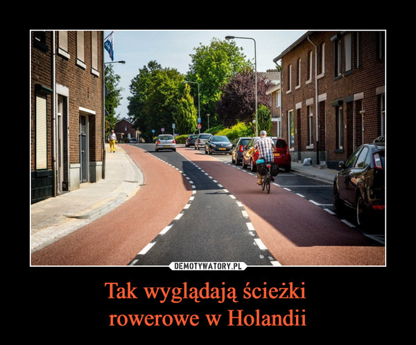 Tak wyglądają ścieżki rowerowe w Holandii –  