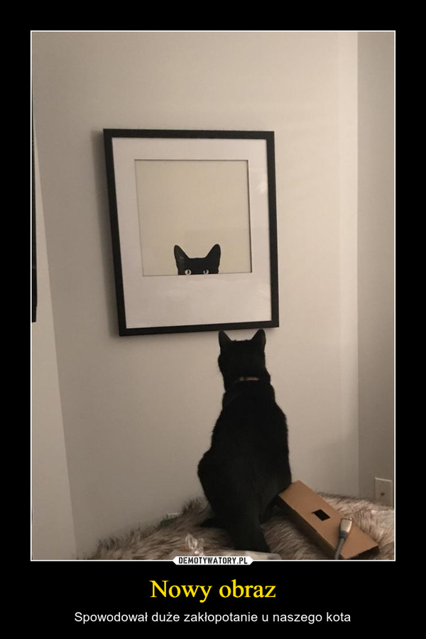 Nowy obraz – Spowodował duże zakłopotanie u naszego kota 
