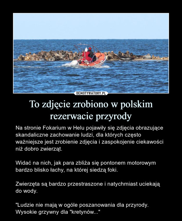 To zdjęcie zrobiono w polskim rezerwacie przyrody – Na stronie Fokarium w Helu pojawiły się zdjęcia obrazujące skandaliczne zachowanie ludzi, dla których często ważniejsze jest zrobienie zdjęcia i zaspokojenie ciekawości niż dobro zwierząt.Widać na nich, jak para zbliża się pontonem motorowym bardzo blisko łachy, na której siedzą foki.Zwierzęta są bardzo przestraszone i natychmiast uciekają do wody."Ludzie nie mają w ogóle poszanowania dla przyrody. Wysokie grzywny dla "kretynów..." 