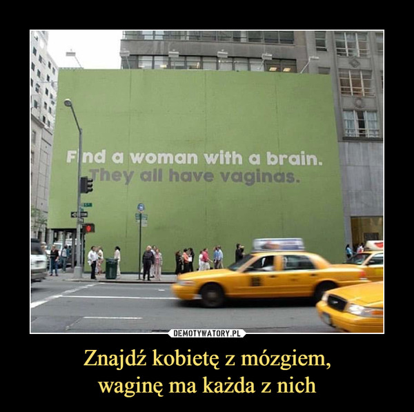 Znajdź kobietę z mózgiem,waginę ma każda z nich –  Find a woman with a brain. They all have vaginas