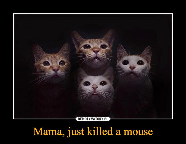 Mama, just killed a mouse –  