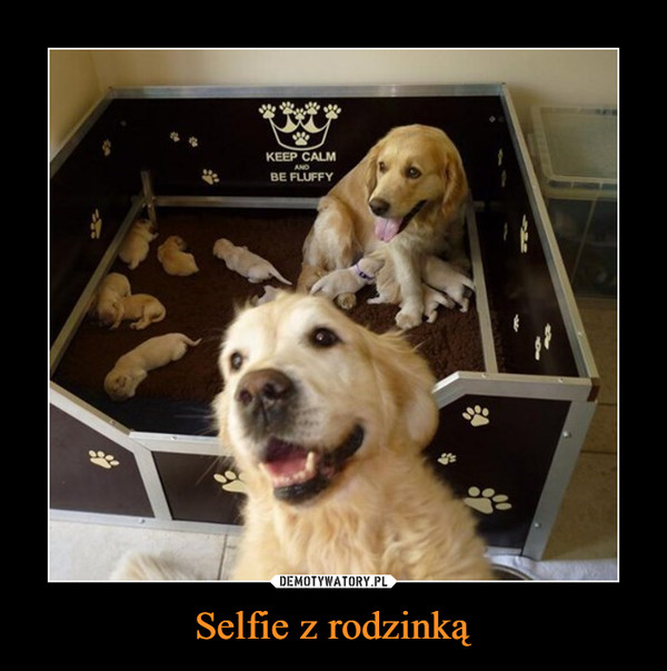 Selfie z rodzinką –  