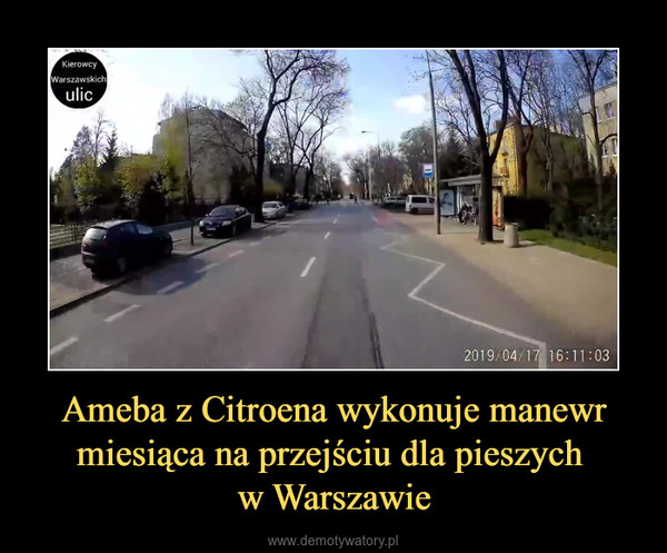 Ameba z Citroena wykonuje manewr miesiąca na przejściu dla pieszych w Warszawie –  