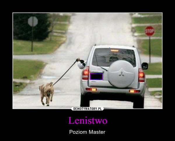 Lenistwo – Poziom Master 