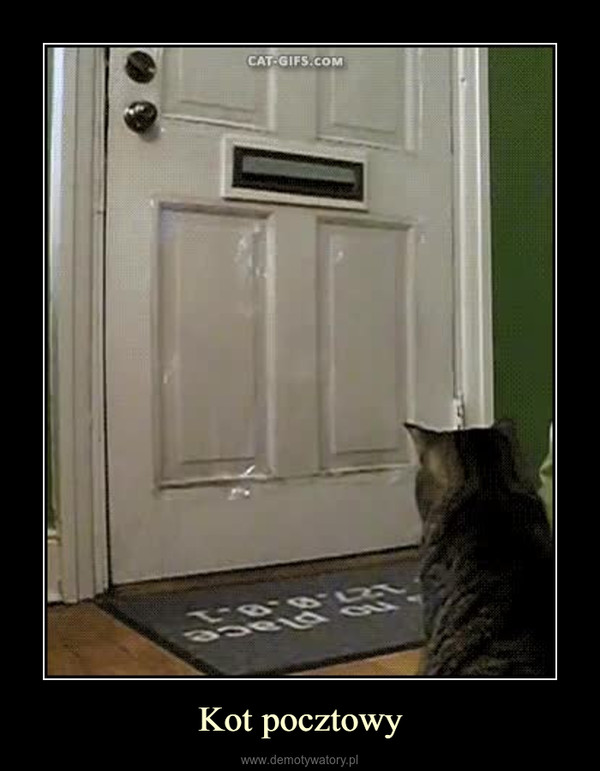 Kot pocztowy –  