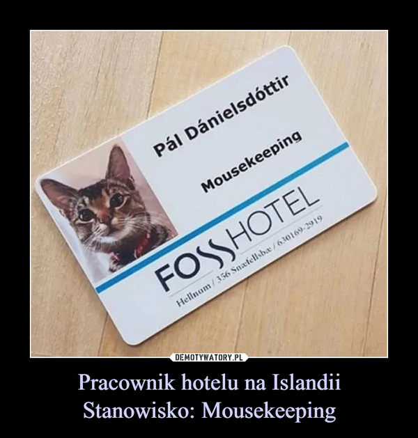 Pracownik hotelu na IslandiiStanowisko: Mousekeeping –  