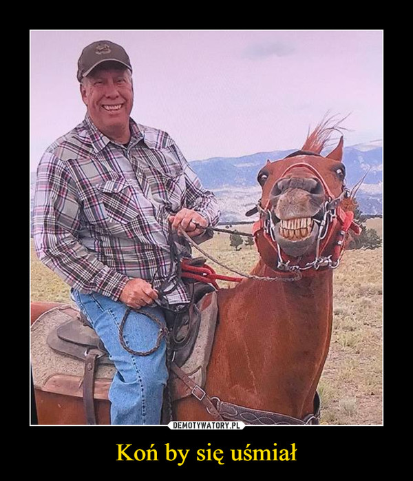 Koń by się uśmiał –  