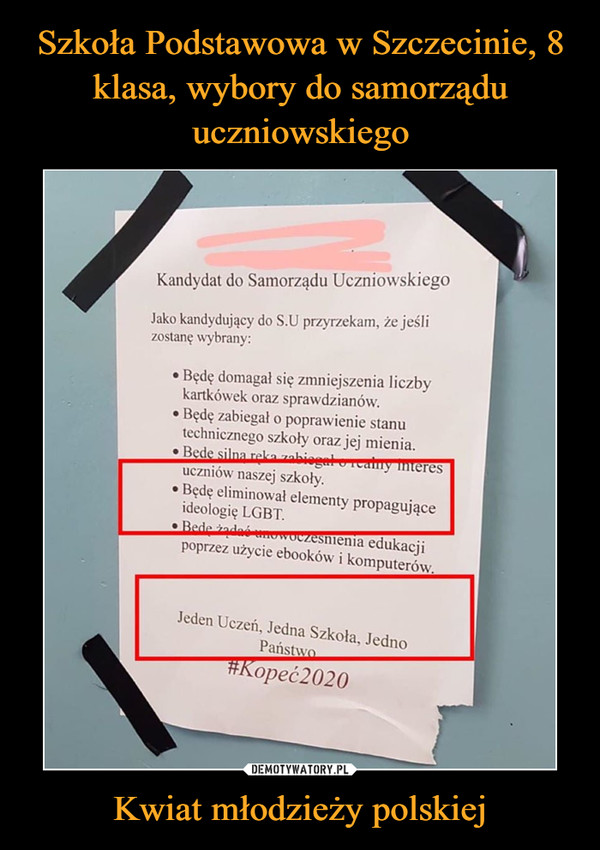 Szkoła Podstawowa w Szczecinie, 8 klasa, wybory do samorządu uczniowskiego Kwiat młodzieży polskiej
