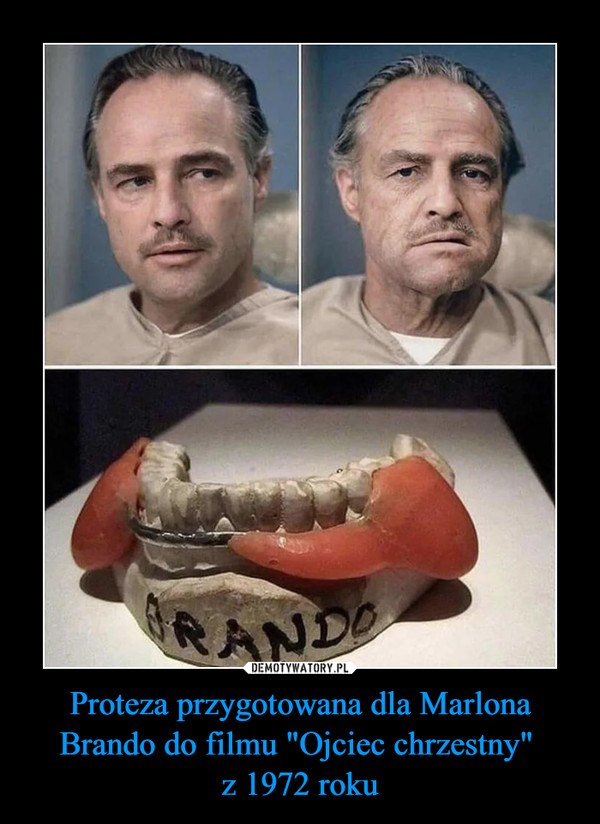 Proteza przygotowana dla Marlona Brando do filmu "Ojciec chrzestny" 
z 1972 roku