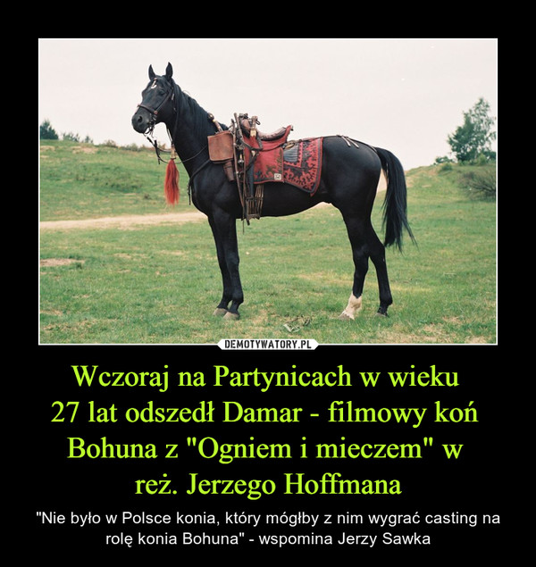 Wczoraj na Partynicach w wieku 27 lat odszedł Damar - filmowy koń Bohuna z "Ogniem i mieczem" w reż. Jerzego Hoffmana – "Nie było w Polsce konia, który mógłby z nim wygrać casting na rolę konia Bohuna" - wspomina Jerzy Sawka 