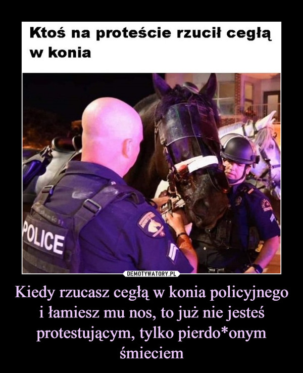 Kiedy rzucasz cegłą w konia policyjnego i łamiesz mu nos, to już nie jesteś protestującym, tylko pierdo*onym śmieciem