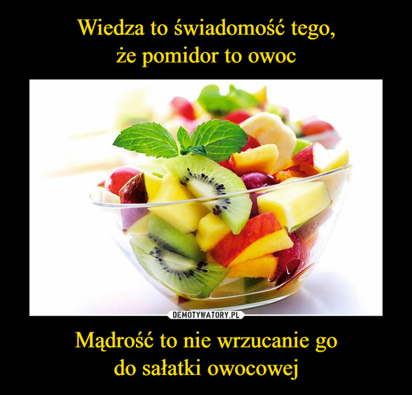 Mądrość to nie wrzucanie godo sałatki owocowej –  
