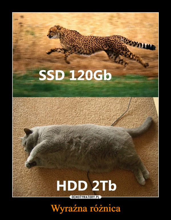 Wyraźna różnica –  SSD 120 GbHDD 2Tb