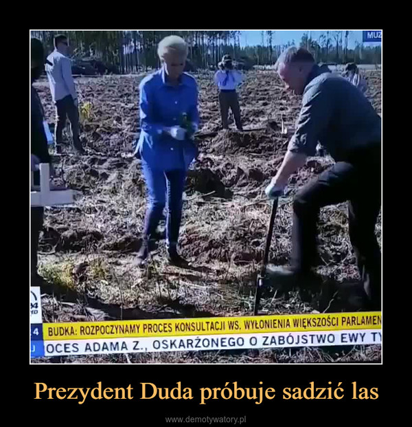 Prezydent Duda próbuje sadzić las –  