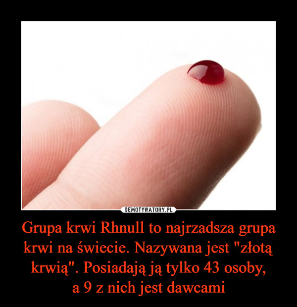 Grupa krwi Rhnull to najrzadsza grupa krwi na świecie. Nazywana jest "złotą krwią". Posiadają ją tylko 43 osoby,
a 9 z nich jest dawcami
